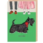 scottie — CA news