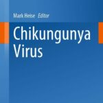 seychelles-chikungunya-virus-outbreak-199.jpeg