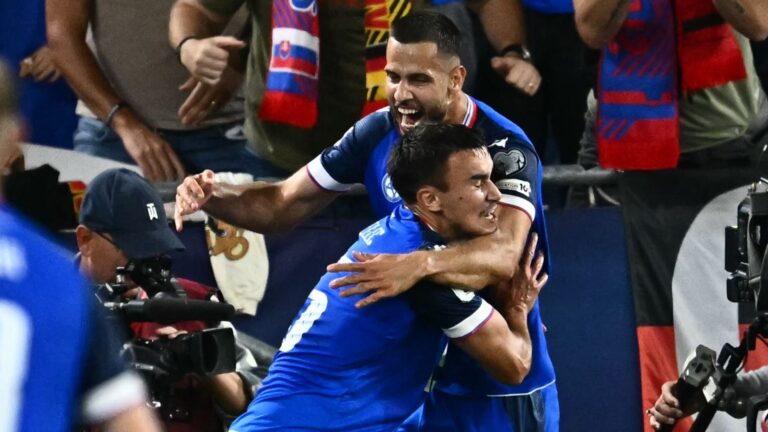 slovakia-vs-germany-40.jpeg