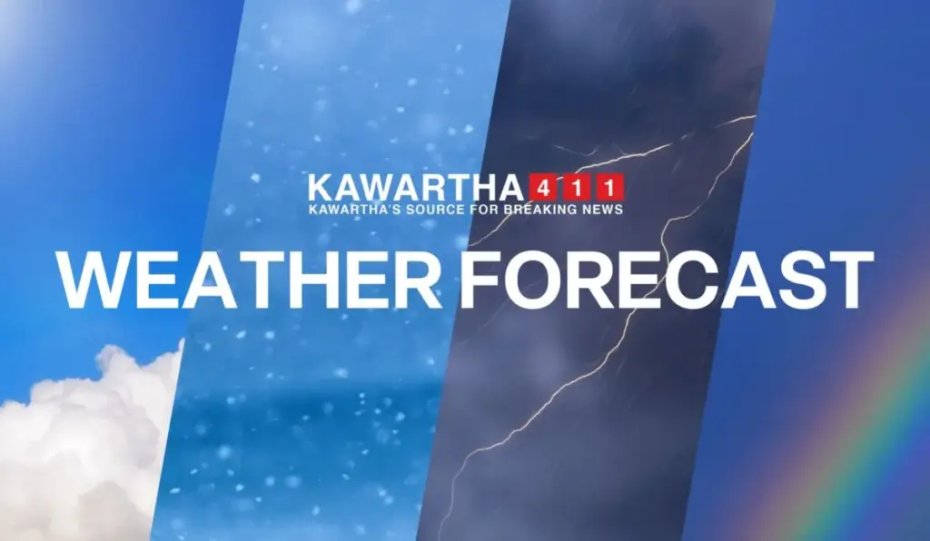 snowfall weather forecast — CA news