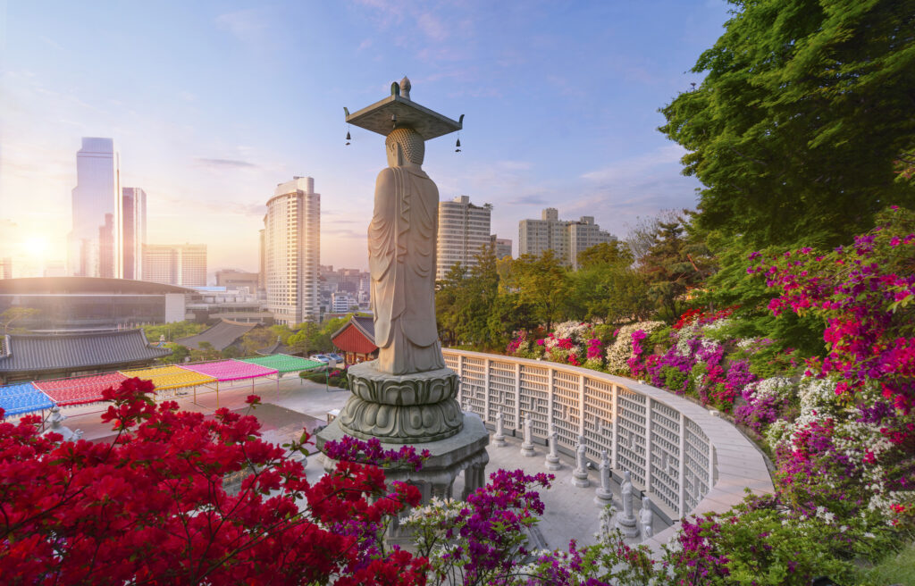 south-korea-353.jpeg