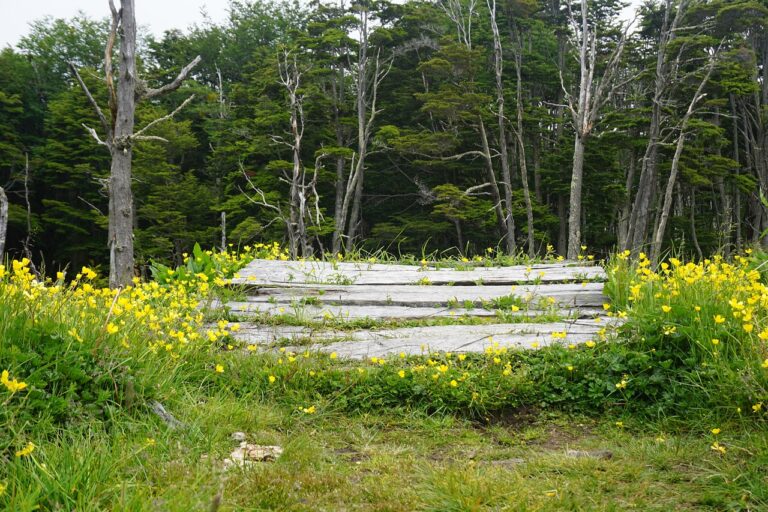tierra-del-fuego-1150.jpeg