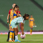 tigres-santos-1677.jpeg