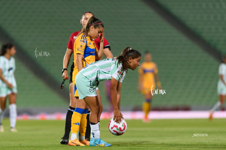 tigres-santos-1677.jpeg