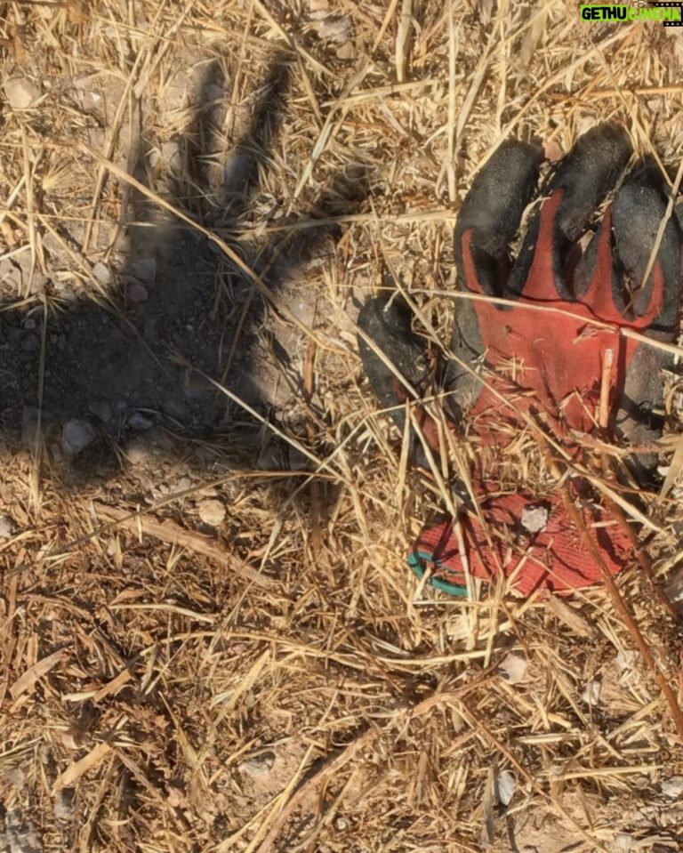 tom-hanks-172.jpeg