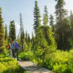 tumbler-ridge-0.webp