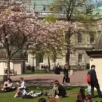 ucl — CA news
