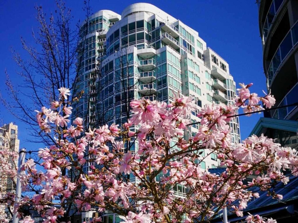 vancouver-weather-110.jpeg