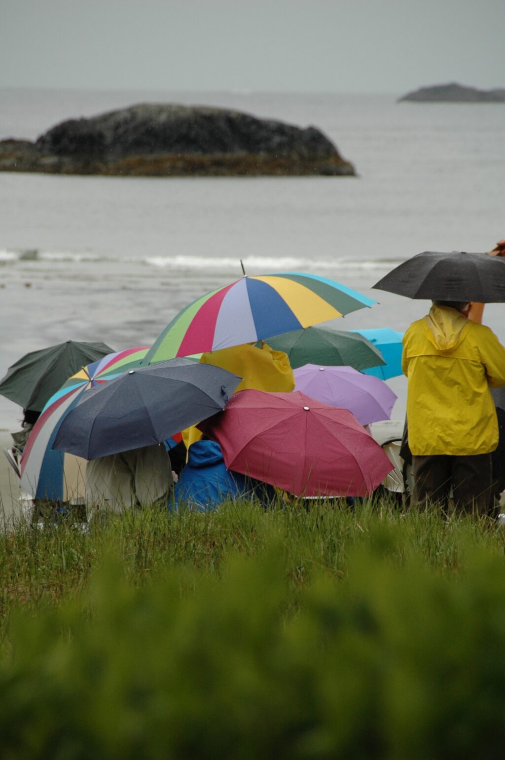 victoria-weather-156.jpeg