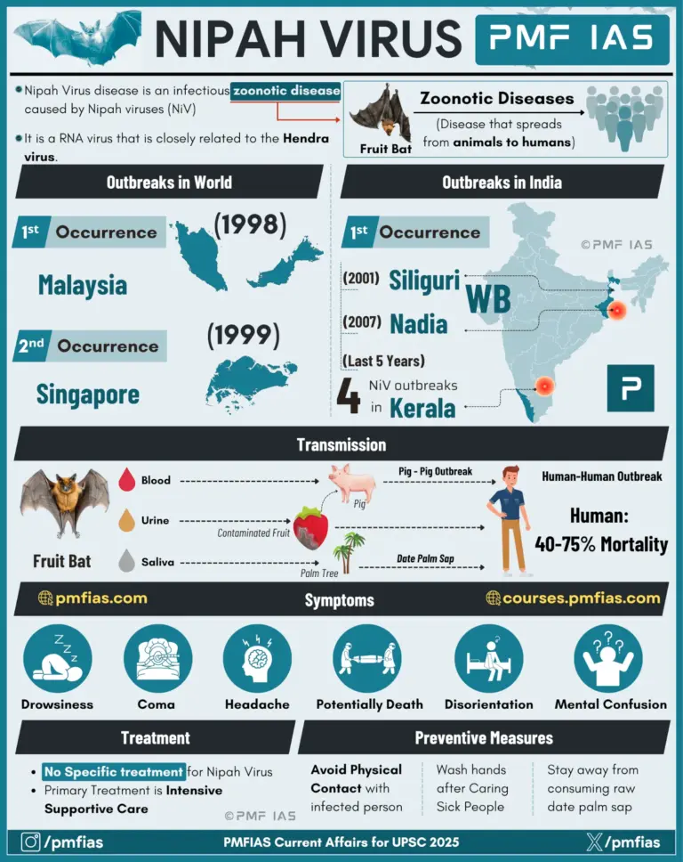 virus-nipah-156.webp