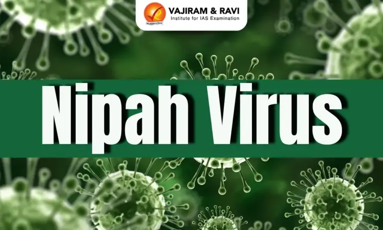 virus-nipah-297.webp