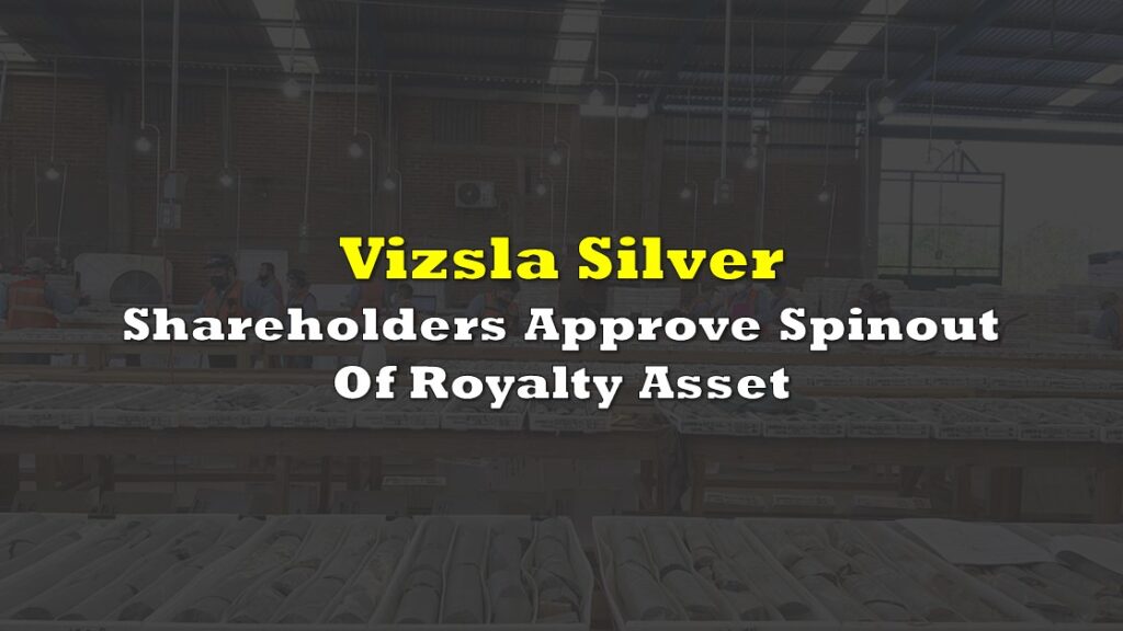 vizsla-silver-1126.jpeg