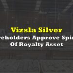 vizsla-silver-1126.jpeg