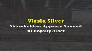 vizsla-silver-1126.jpeg