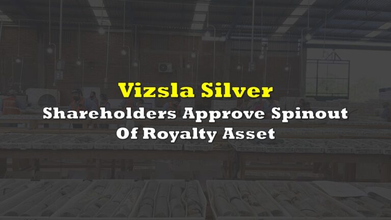 vizsla-silver-1126.jpeg
