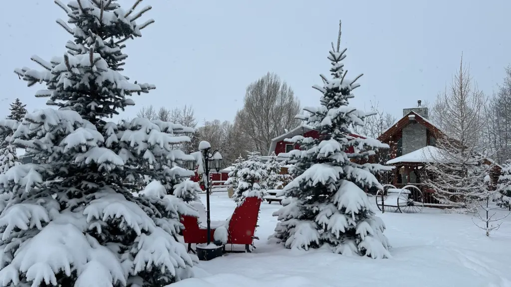weather-network-ottawa-844.webp