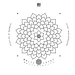 white-lotus-1098.jpeg