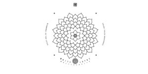 white-lotus-1098.jpeg