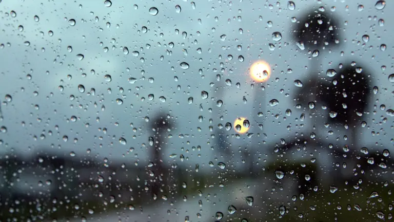windsor-weather-441.webp