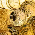 xrp — CA news