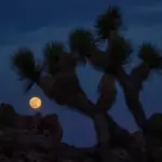 blood moon march 3 — CA news