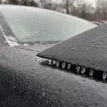 bus cancellation — CA news