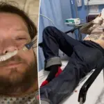 corey harrison — CA news