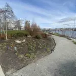 david lam park — CA news