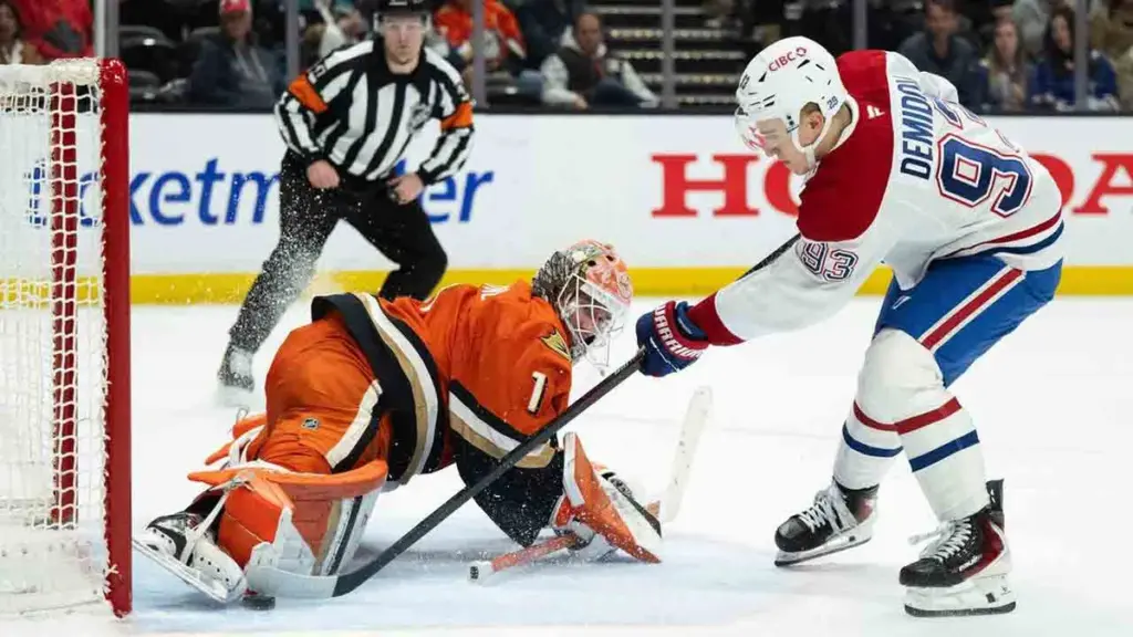 ducks d'anaheim — CA news
