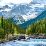 express entry draw — CA news
