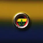 fenerbahçe — CA news