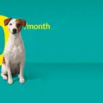 fido 5g — CA news