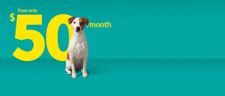 fido 5g — CA news