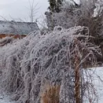 hydro one outage — CA news