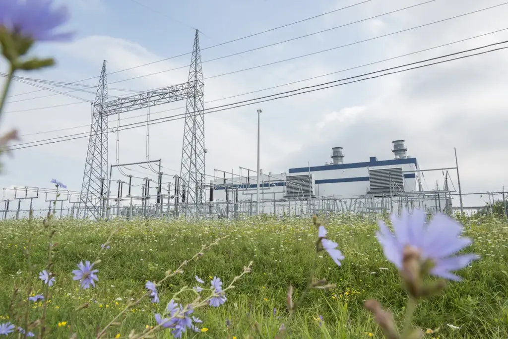 hydro quebec — CA news