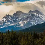 ircc — CA news