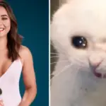 is the bachelorette actually cancelled — CA news