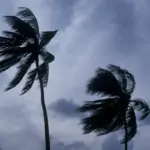 maui flooding — CA news