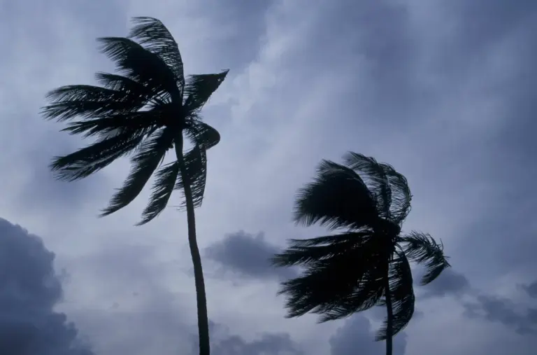 maui flooding — CA news