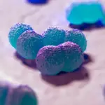 meningite angleterre — CA news