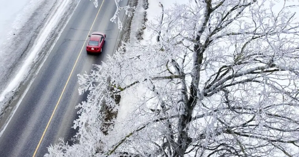 ontario snow storm — CA news