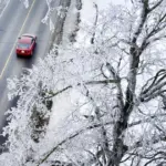 ontario snow storm — CA news