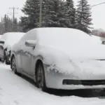 red deer weather — CA news