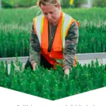 saskpower — CA news