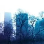scarpetta season 2 — CA news