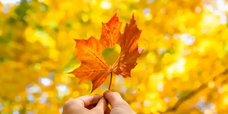 tdsb — CA news