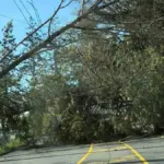 vancouver island power outages — CA news