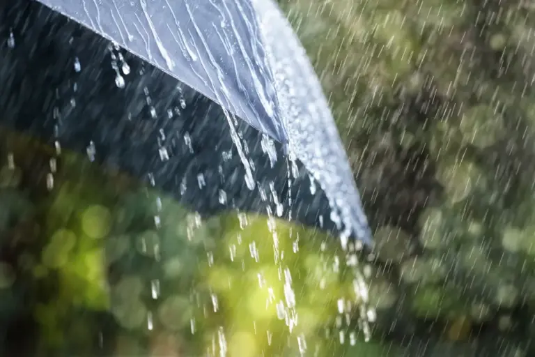 weather vancouver — CA news