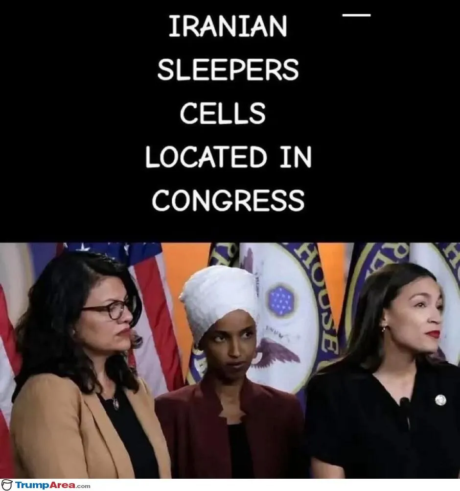 what are sleeper cells — CA news