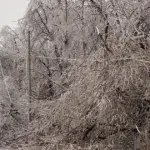 windy — CA news